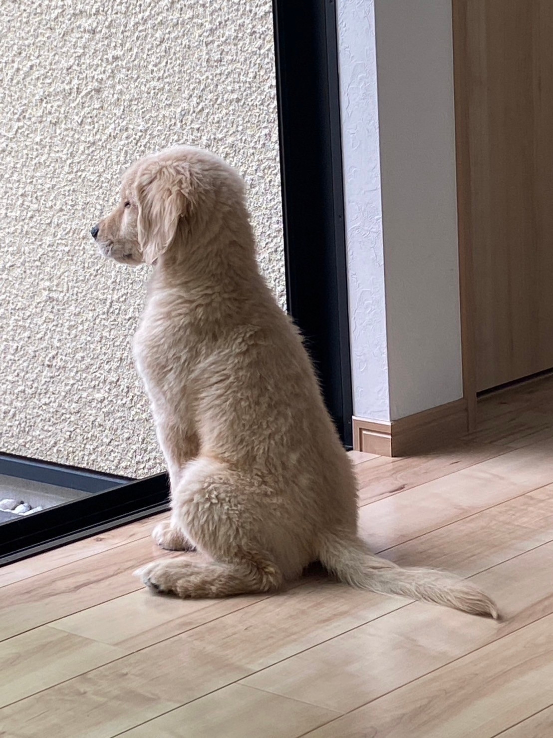 須田 興養 アイキャッチ画像