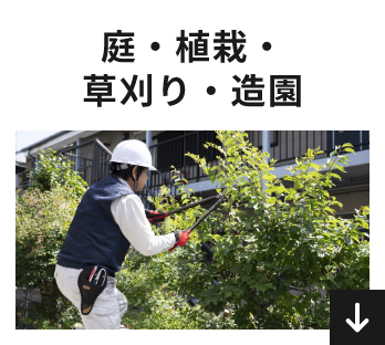 庭・植栽・草刈り・造園